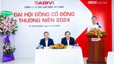 ĐHĐCĐ CADIVI: Mục tiêu lợi nhuận trước thuế năm 2024 đạt 460 tỷ đồng, có Chủ tịch HĐQT mới