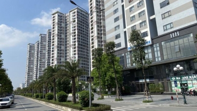 Có nên 'xuống tiền' đầu tư căn hộ chung cư cho thuê?