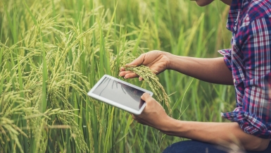 Khuyến khích ứng dụng công nghệ góp phần tăng giá trị ngành nông nghiệp