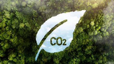 Nguồn nhân lực là yếu tố quan trọng cho tiến trình phát triển tín chỉ carbon