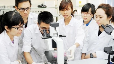 Hơn 500 đề tài tham gia Giải thưởng khoa học và công nghệ dành cho sinh viên