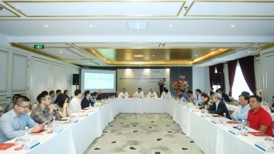 Giải pháp củng cố, nâng cao năng lực sản xuất và phát triển thị trường trong nước