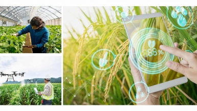 Đẩy mạnh liên kết chuỗi giá trị và xây dựng hệ sinh thái số hướng tới nền nông nghiệp hiện đại