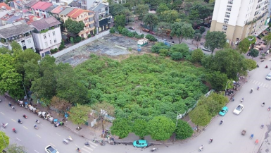 Hà Nội duyệt kế hoạch đấu giá loạt lô “đất vàng” cho quận từng có khách trả tới 364 triệu đồng/m2