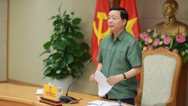 Phó thủ tướng: Không để tình trạng thiếu minh bạch thông tin khiến nhà đầu tư thổi giá gây rối loạn thị trường bất động sản