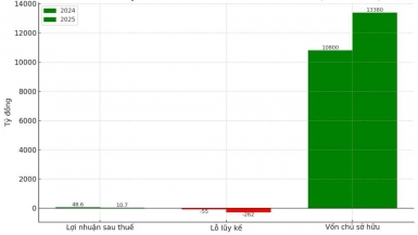 Công ty con của Đất Xanh báo lãi giảm 78%, đẩy lỗ lũy kế tăng lên gần 5 lần