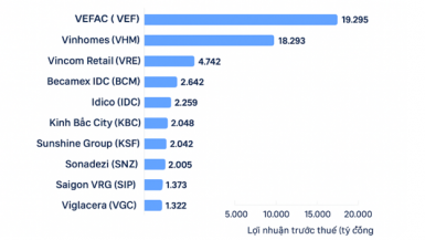 Toàn cảnh bức tranh doanh nghiệp bất động sản 9 tháng năm 2025: Loạt công ty của tỷ phú Phạm Nhật Vượng … “thắng lớn”