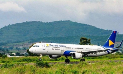 Vietravel Airlines phải hủy 7 chuyến bay do sự cố va chạm với chim