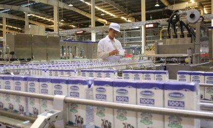 Công ty sữa Việt Nam - Vinamilk: Thương hiệu sữa tỷ đô dẫn đầu ngành thực phẩm