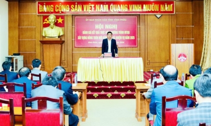 Vĩnh Phúc có 217 thôn được công nhận thôn đạt chuẩn nông thôn mới kiểu mẫu