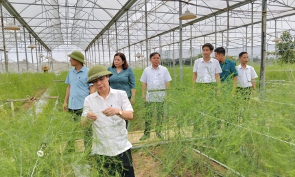 Xã Hoàng An (Phú Thọ): Tập trung phát triển theo định hướng 3 khâu đột phá