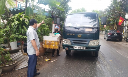 Xã Yên Lãng (Phú Thọ): Bảo vệ môi trường góp phần phát triển kinh tế bền vững