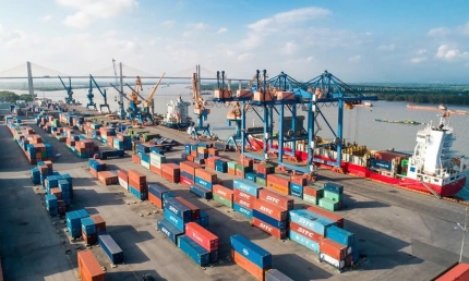 Từ cảng biển đến đô thị logistics quốc tế: Thâm Quyến, Singapore và diện mạo Hải Phòng