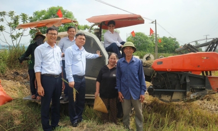 Cơ hội tạo tín chỉ Carbon từ dự án JCM lúa canh tác theo phương pháp ngập khô xen kẽ AWD