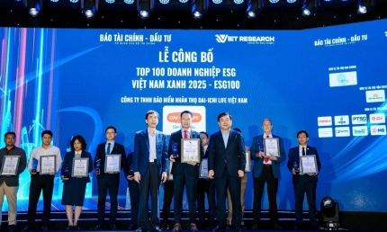 Dai-ichi Life Việt Nam vinh dự nhận liên tiếp ba giải thưởng uy tín tại Diễn đàn Vietnam Summit 2025