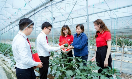 Agribank với trách nhiệm ESG toàn diện, từ “vốn xanh” đến an sinh cộng đồng