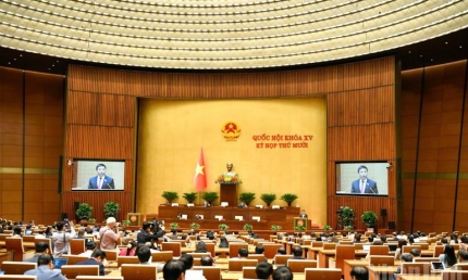 Điều chỉnh Quy hoạch tổng thể quốc gia: Tập trung phát triển các ngành công nghiệp nền tảng chiến lược