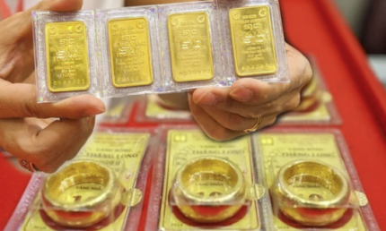 Giá vàng đồng loạt lao dốc chiều 18/11: SJC về 149,3 triệu, vàng nhẫn Bảo tín Mạnh hải còn 149,5 triệu