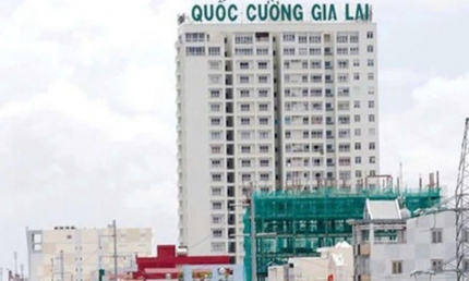 Kiểm toán viên ký báo cáo tài chính 2023 của Quốc Cường Gia Lai và SC5 bị đình chỉ