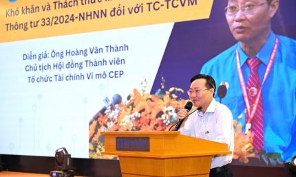 Khó khăn và thách thức khi triển khai Thông tư 33 đối với tổ chức tài chính vi mô