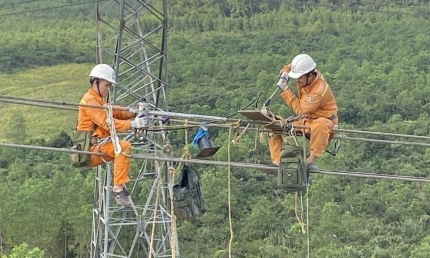 Thi công thần tốc để tháng 7 khánh thành đường dây 500 kV mạch 3 Quảng Trạch - Phố Nối