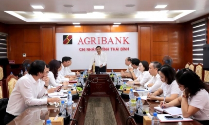 Agribank tổ chức các đoàn công tác nắm bắt tình hình, khắc phục thiệt hại cơn bão số 3