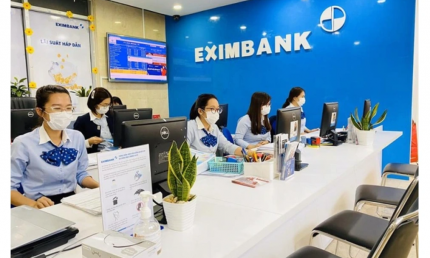 Tập đoàn Gelex nắm gần 5% vốn điều lệ tại Eximbank