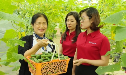 Dòng vốn ưu đãi 50.000 tỷ đồng từ Agribank: Tiếp sức sản xuất, đồng hành cùng triệu hộ kinh doanh