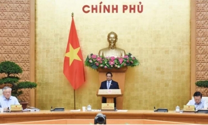 Chính phủ họp phiên thường kỳ tháng 4/2025: Thảo luận nhiều nhiệm vụ, giải pháp trọng tâm
