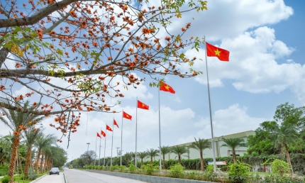 Nền móng tiềm năng để phát huy giá trị doanh nhân – doanh nghiệp Hải Phòng trong kỷ nguyên mới