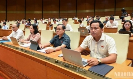 Tạo hành lang pháp lý đồng bộ, minh bạch, thúc đẩy khu vực tư nhân phát triển