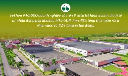 Từ vốn vay đến giá trị bền vững: Agribank “tiếp lửa” cho doanh nghiệp tư nhân phát triển dài hạn