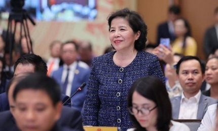 Vinamilk, FPT, Hòa Phát, CMC hiến kế cho “trận đánh lớn” thúc đẩy kinh tế tư nhân