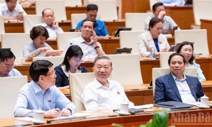 Phòng, chống hàng giả, gian lận thương mại cần được nâng tầm chiến lược quốc gia