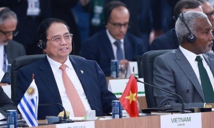 Hợp tác ứng phó khủng hoảng khí hậu, tăng cường quản trị y tế toàn cầu
