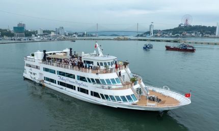 Trải nghiệm chất sống thượng lưu Sun Elite City trên du thuyền 5 sao