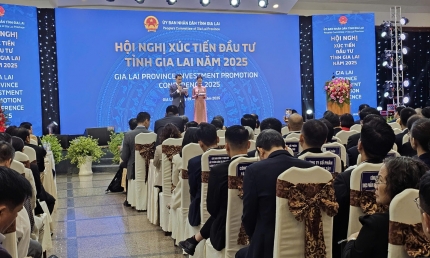 Gia Lai mới – Cơ hội bứt phá thành vùng công nghiệp xanh, thông minh và logistics chiến lược