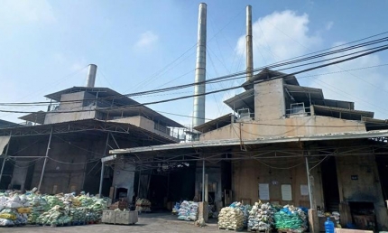 Khung tiêu chí kinh tế tuần hoàn trong xử lý rác thải sinh hoạt tại Việt Nam