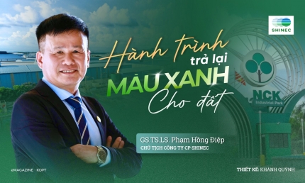 Hành trình trả lại màu xanh cho đất