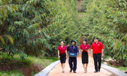 Agribank xanh hóa tín dụng – “Cầu nối” để phát triển năng lượng xanh tại Việt Nam