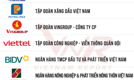 Hòa Phát là doanh nghiệp sản xuất duy nhất lọt TOP 10 Doanh nghiệp lớn nhất Việt Nam