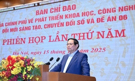 Tập trung phát triển cơ sở dữ liệu làm nền tảng thúc đẩy mạnh mẽ chuyển đổi số quốc gia