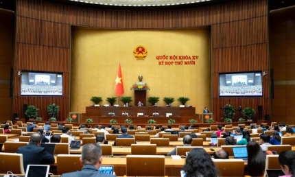 Tuần làm việc thứ 5, Kỳ họp thứ 10: Quốc hội thảo luận nhiều nghị quyết quan trọng về giáo dục, y tế, đất đai