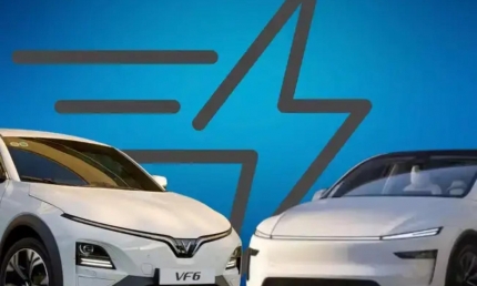 VinFast có khởi đầu tốt hơn Tesla tại Ấn Độ, lọt top 8 hãng xe điện có doanh số cao nhất trong tháng 10