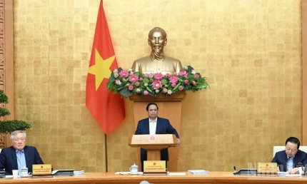 Thủ tướng Phạm Minh Chính chủ trì Phiên họp Chính phủ thường kỳ tháng 11