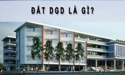 Đất DGD là gì? Có nên mua đất quy hoạch giáo dục không?