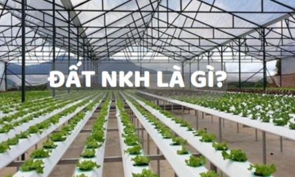 Đất NKH là gì? Đất NKH có lên thổ cư được không?