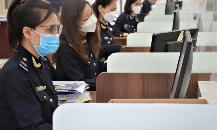 Dừng cuộc thi viết 'Tự hào 80 năm xây dựng và phát triển Hải quan Việt Nam'