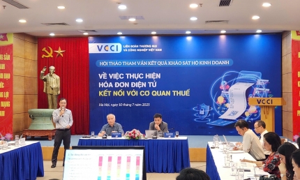 Tham vấn về kết quả khảo sát hộ kinh doanh thực hiện hóa đơn điện tử