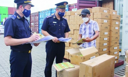 Hải quan Việt Nam tiếp tục cắt giảm, đơn giản hóa thủ tục hành chính